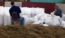 Bagging wild rice