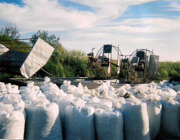 Truck being loaded with wild rice